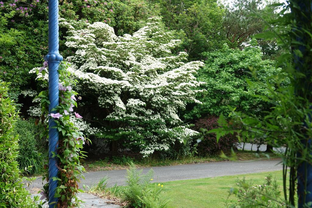 Borthwnog Hall Dolgellau Eksteriør bilde