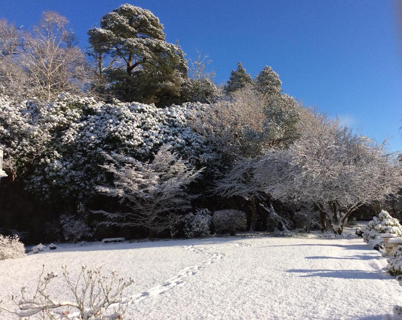 Borthwnog Hall Dolgellau Eksteriør bilde