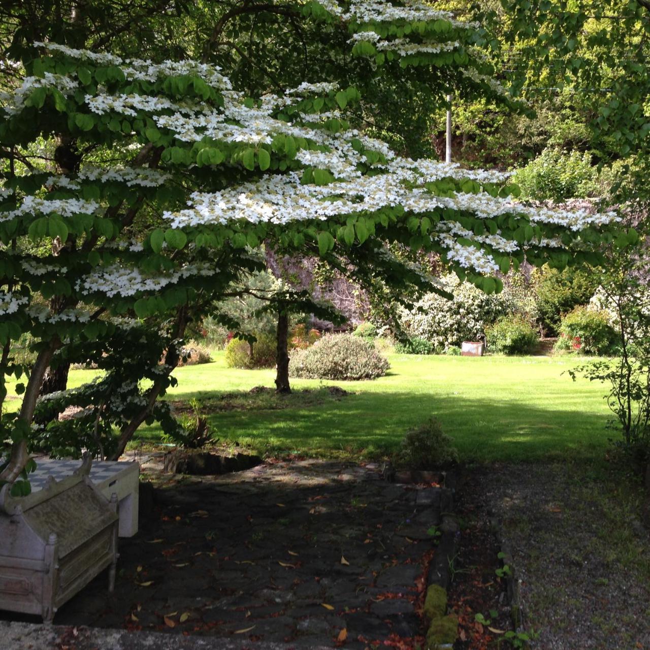 Borthwnog Hall Dolgellau Eksteriør bilde
